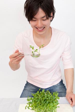 本格的な製菓材料を通販で購入するなら