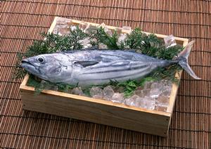 東京シーシャカフェは女性も楽しめるお店