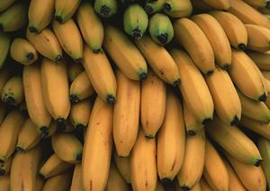 熊本駅徒歩2分！郷土料理を味わおう