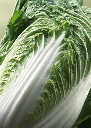 ケータイリングで非日常感を味わう