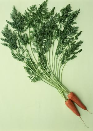 宅配弁当はここに頼めば安心です