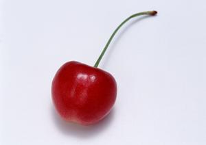 東京の老舗和菓子屋のお取り寄せサイト