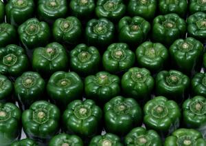 絶品トマトソースを通販で購入する