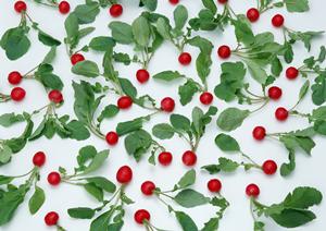 福岡市のもつ鍋専門店に注目しよう